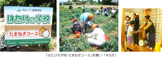 「はたけの学校・たまねぎコース」収穫（11年5月）