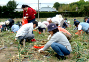 はたけの学校