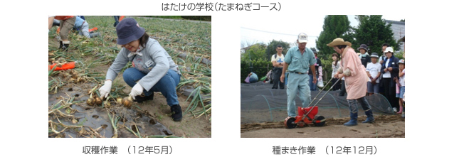 はたけの学校(たまねぎコース)収穫作業 (12年5月)、種まき作業 (12年12月)