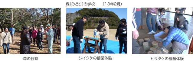 森(みどり)の学校 (13年2月)、森の観察、シイタケの植菌体験、ヒラタケの植菌体験