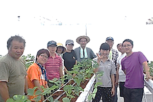 生活クラブ虹の街　亘理町トマト収穫ボランティアに参加