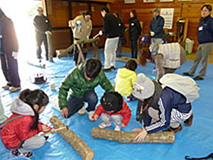 「森（みどり）の学校」（14年2月）