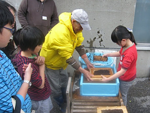 「海（さかな）の学校」（14年3月）